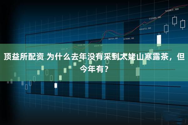 顶益所配资 为什么去年没有采到太姥山寒露茶，但今年有？